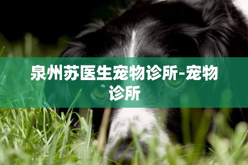 泉州蘇醫生寵物診所-寵物診所