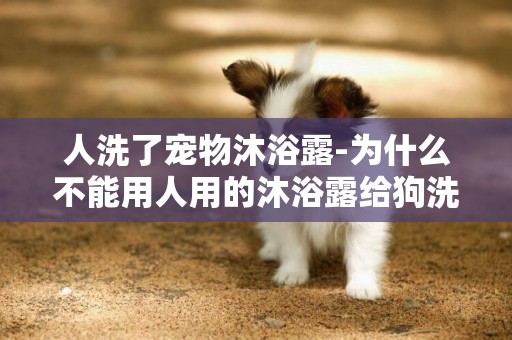人洗了寵物沐浴露-為什么不能用人用的沐浴露給狗洗澡