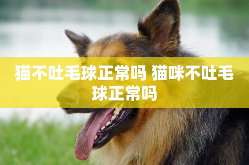貓不吐毛球正常嗎 貓咪不吐毛球正常嗎