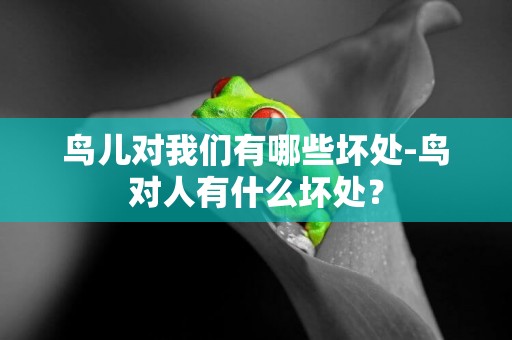 鳥兒對我們有哪些壞處-鳥對人有什么壞處？