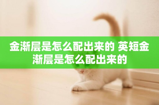 金漸層是怎么配出來的 英短金漸層是怎么配出來的