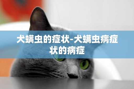 犬螨蟲的癥狀-犬螨蟲病癥狀的病癥