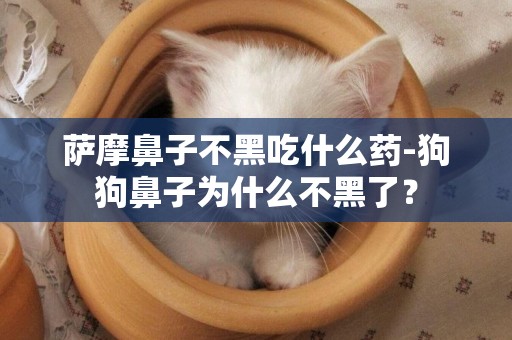 薩摩鼻子不黑吃什么藥-狗狗鼻子為什么不黑了？