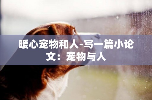 暖心寵物和人-寫一篇小論文：寵物與人