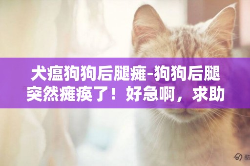 犬瘟狗狗后腿癱-狗狗后腿突然癱瘓了！好急啊，求助。