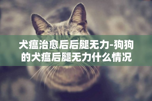 犬瘟治愈后后腿無力-狗狗的犬瘟后腿無力什么情況