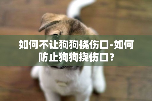 如何不讓狗狗撓傷口-如何防止狗狗撓傷口？