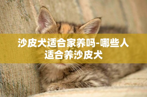 沙皮犬適合家養嗎-哪些人適合養沙皮犬