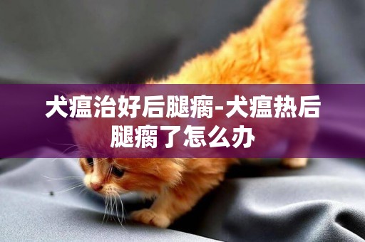 犬瘟治好后腿瘸-犬瘟熱后腿瘸了怎么辦