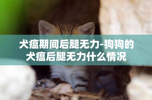 犬瘟期間后腿無力-狗狗的犬瘟后腿無力什么情況