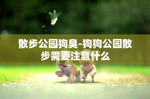 散步公園狗臭-狗狗公園散步需要注意什么
