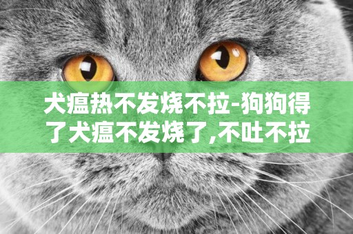 犬瘟熱不發燒不拉-狗狗得了犬瘟不發燒了,不吐不拉,不吃東西,不喝水沒精神,怎么回事，他