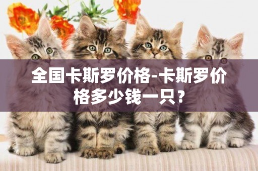 全國卡斯羅價格-卡斯羅價格多少錢一只？
