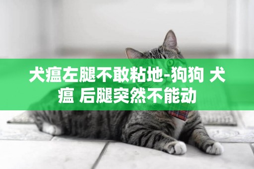 犬瘟左腿不敢粘地-狗狗 犬瘟 后腿突然不能動