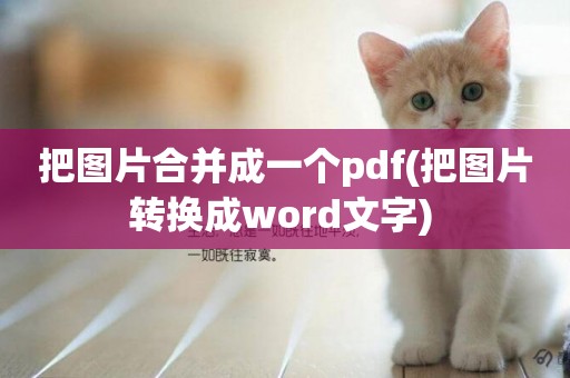 把圖片合并成一個pdf(把圖片轉換成word文字) 