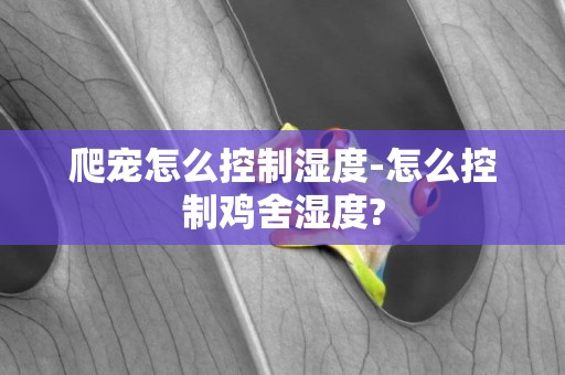 爬寵怎么控制濕度-怎么控制雞舍濕度?