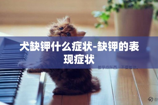犬缺鉀什么癥狀-缺鉀的表現癥狀
