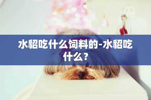 水貂吃什么飼料的-水貂吃什么？