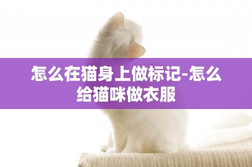 怎么在貓身上做標記-怎么給貓咪做衣服