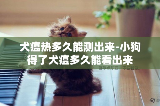 犬瘟熱多久能測出來-小狗得了犬瘟多久能看出來
