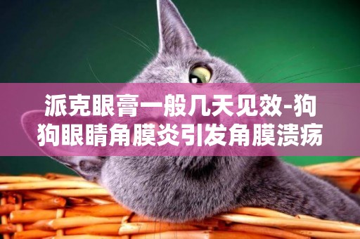 派克眼膏一般幾天見效-狗狗眼睛角膜炎引發角膜潰瘍穿孔，想問A-派克眼膏和氧佛沙星眼藥水能一起用嗎，是