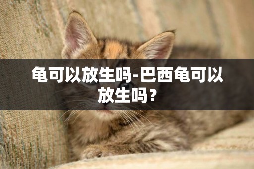 龜可以放生嗎-巴西龜可以放生嗎？
