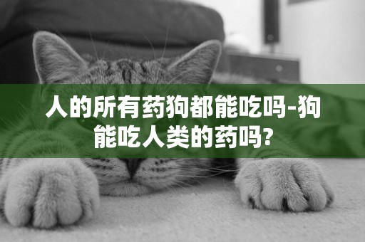 人的所有藥狗都能吃嗎-狗能吃人類的藥嗎?