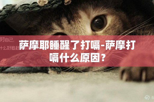 薩摩耶睡醒了打嗝-薩摩打嗝什么原因？