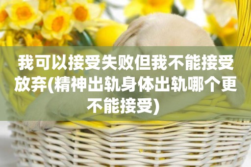 我可以接受失敗但我不能接受放棄(精神出軌身體出軌哪個更不能接受) 