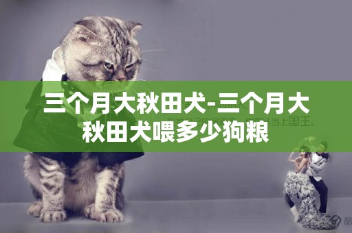 三個月大秋田犬-三個月大秋田犬喂多少狗糧