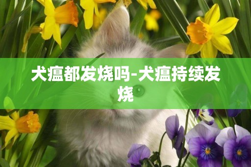 犬瘟都發燒嗎-犬瘟持續發燒