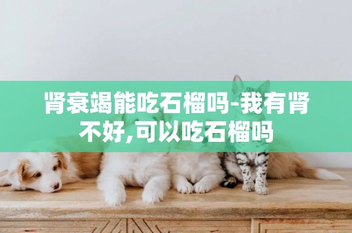 腎衰竭能吃石榴嗎-我有腎不好,可以吃石榴嗎