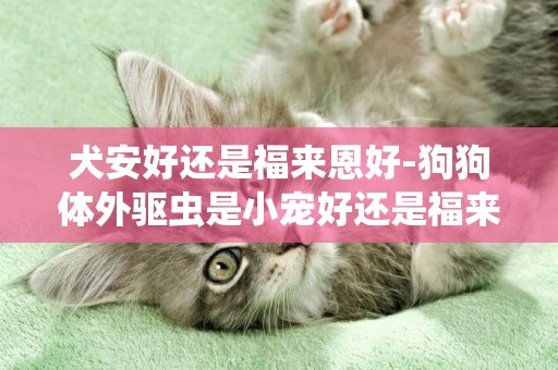 犬安好還是福來恩好-狗狗體外驅蟲是小寵好還是福來恩好？