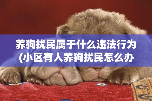 養狗擾民屬于什么違法行為(小區有人養狗擾民怎么辦) 