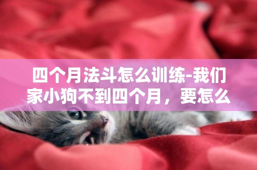 四個月法斗怎么訓練-我們家小狗不到四個月，要怎么訓練它呢？