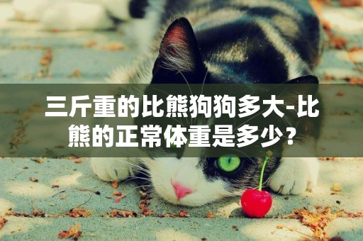 三斤重的比熊狗狗多大-比熊的正常體重是多少？