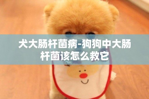 犬大腸桿菌病-狗狗中大腸桿菌該怎么救它