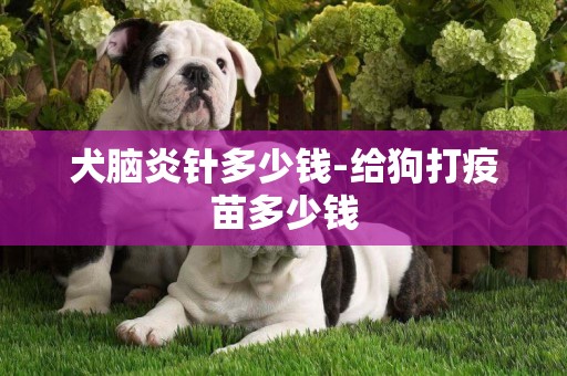 犬腦炎針多少錢-給狗打疫苗多少錢