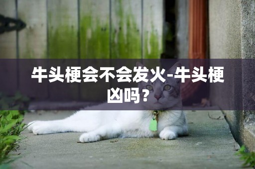 牛頭梗會不會發火-牛頭梗兇嗎？