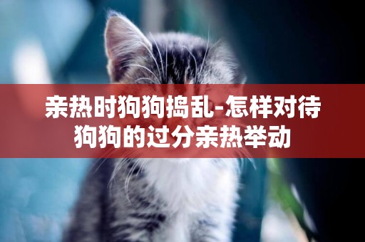 親熱時狗狗搗亂-怎樣對待狗狗的過分親熱舉動