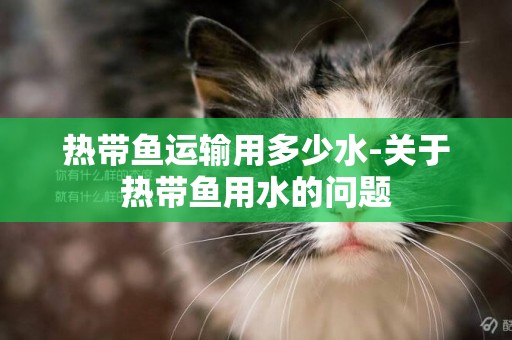 熱帶魚運輸用多少水-關于熱帶魚用水的問題