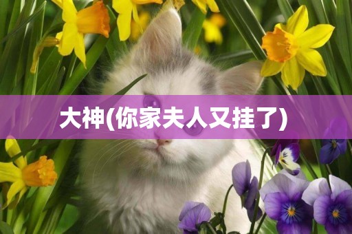 大神(你家夫人又掛了) 