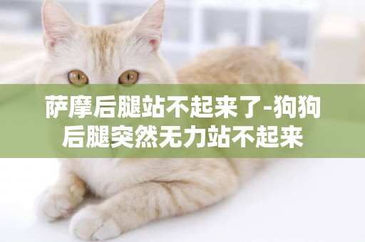 薩摩后腿站不起來了-狗狗后腿突然無力站不起來