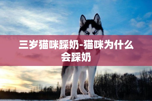 三歲貓咪踩奶-貓咪為什么會踩奶