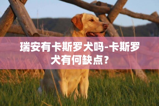 瑞安有卡斯羅犬嗎-卡斯羅犬有何缺點？