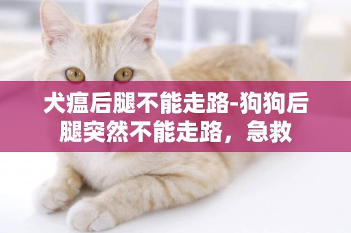 犬瘟后腿不能走路-狗狗后腿突然不能走路，急救