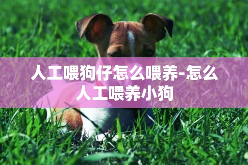人工喂狗仔怎么喂養-怎么人工喂養小狗