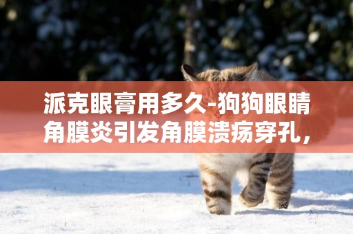 派克眼膏用多久-狗狗眼睛角膜炎引發角膜潰瘍穿孔，想問A-派克眼膏和氧佛沙星眼藥水能一起用嗎，是否一起