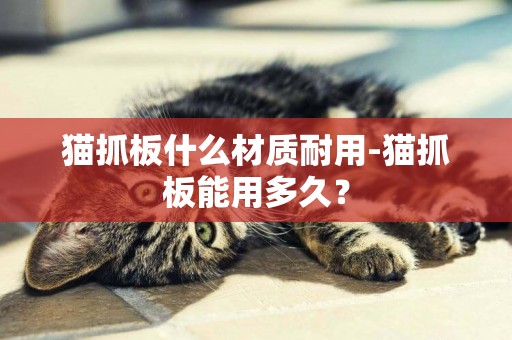 貓抓板什么材質耐用-貓抓板能用多久？