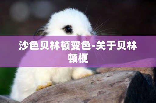 沙色貝林頓變色-關于貝林頓梗